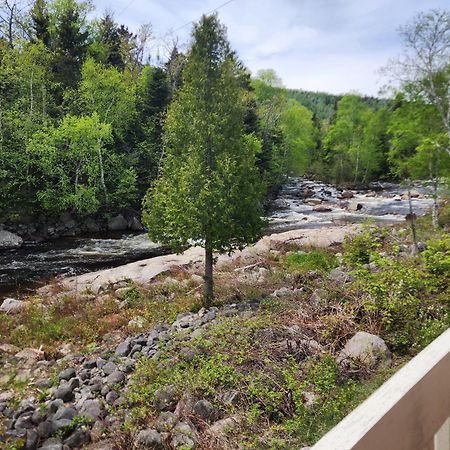 Motel Et Chalets Bo-Fleuve Evangeline Saint-Siméon Eksteriør bilde
