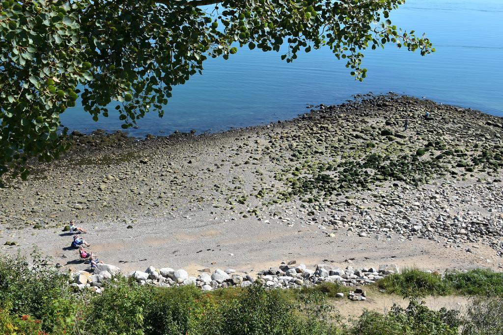 Motel Et Chalets Bo-Fleuve Evangeline Saint-Siméon Eksteriør bilde