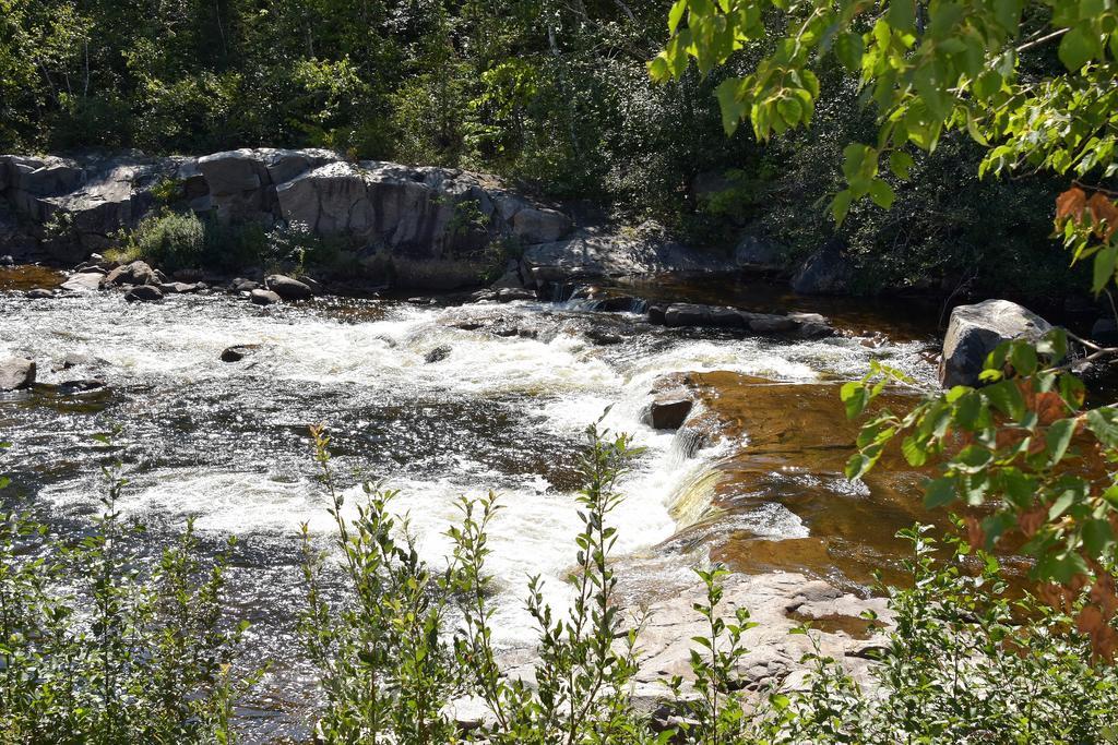 Motel Et Chalets Bo-Fleuve Evangeline Saint-Siméon Eksteriør bilde