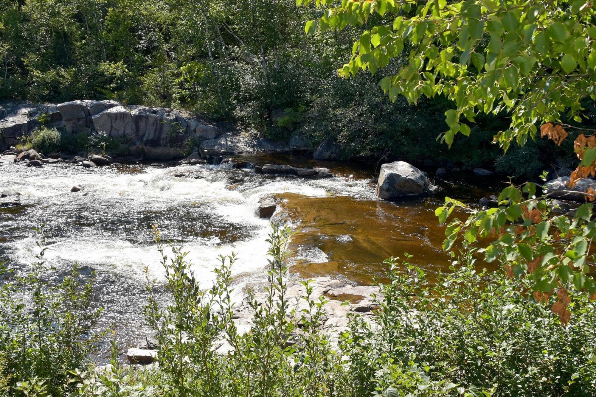 Motel Et Chalets Bo-Fleuve Evangeline Saint-Siméon Rom bilde